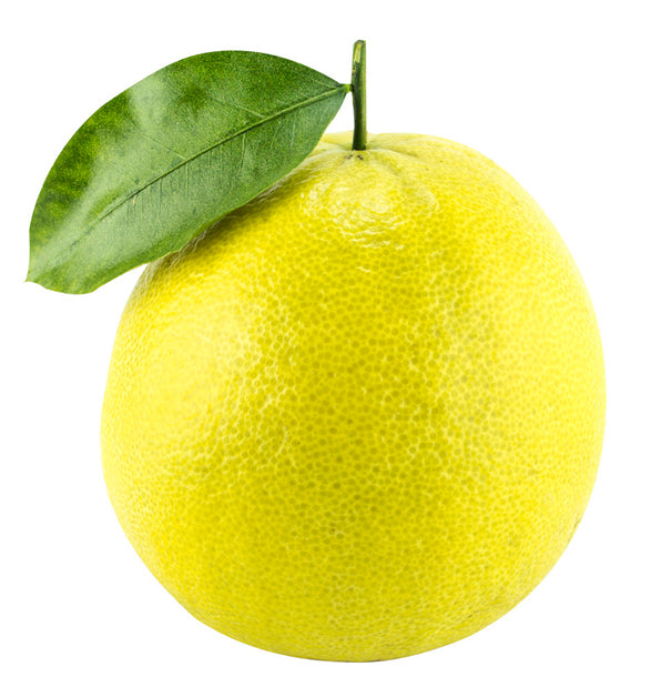 Bergamot