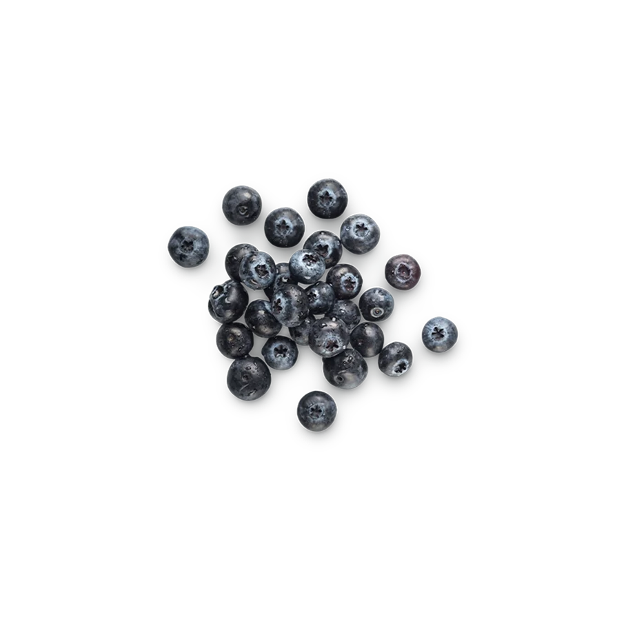 Vaccinium Corymbosum Fruit (Organic Blueberries)