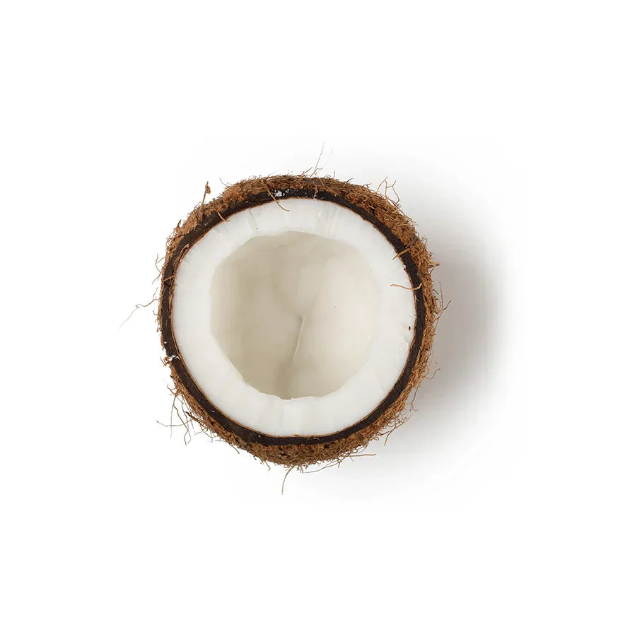 Cocos Nucifera Oil (Extra Virgin Coconut Oil)