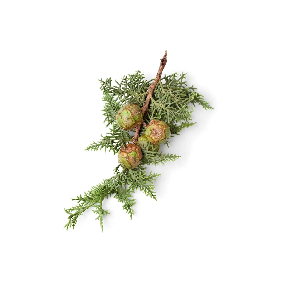 Hinoki Oil
