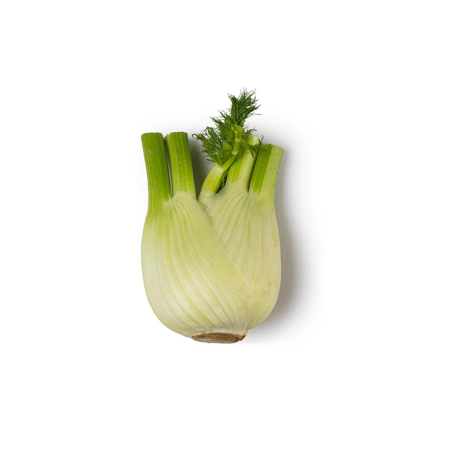 Fresh Fennel Extracted In Organic Extra Virgin Olive Oil