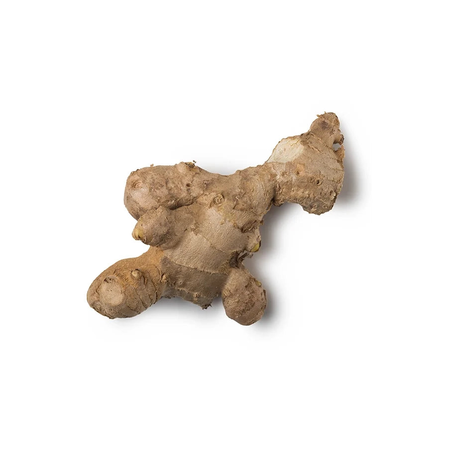 Zingiber Officinale Root Extract (Fresh Ginger Root Extract)
