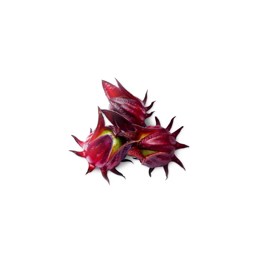 Hibiscus Flower Powder