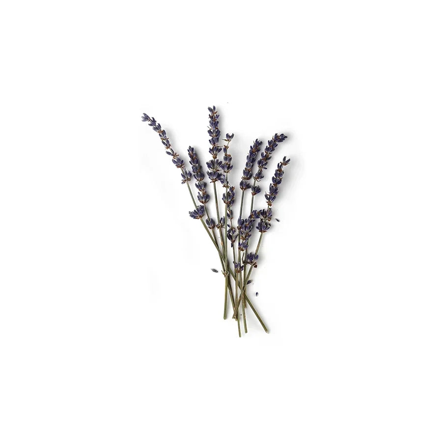 Lavandula Oil/Extract (Lavandin Oil)