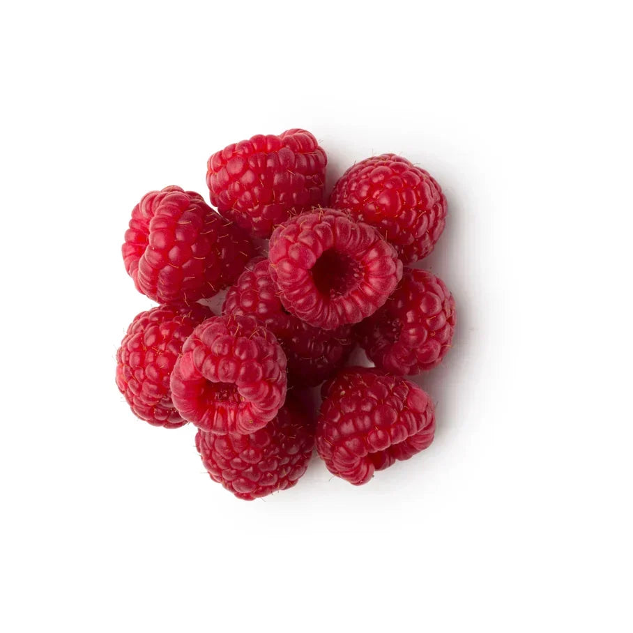 Rubus Idaeus Seed Oil (Cold Pressed Raspberry Seed Oil)