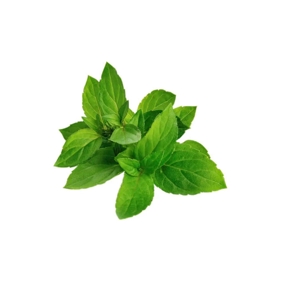 Mint