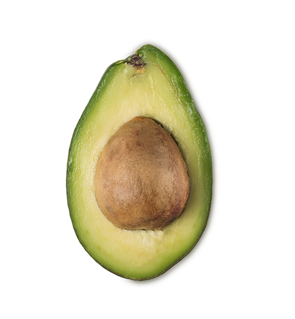 Avocado