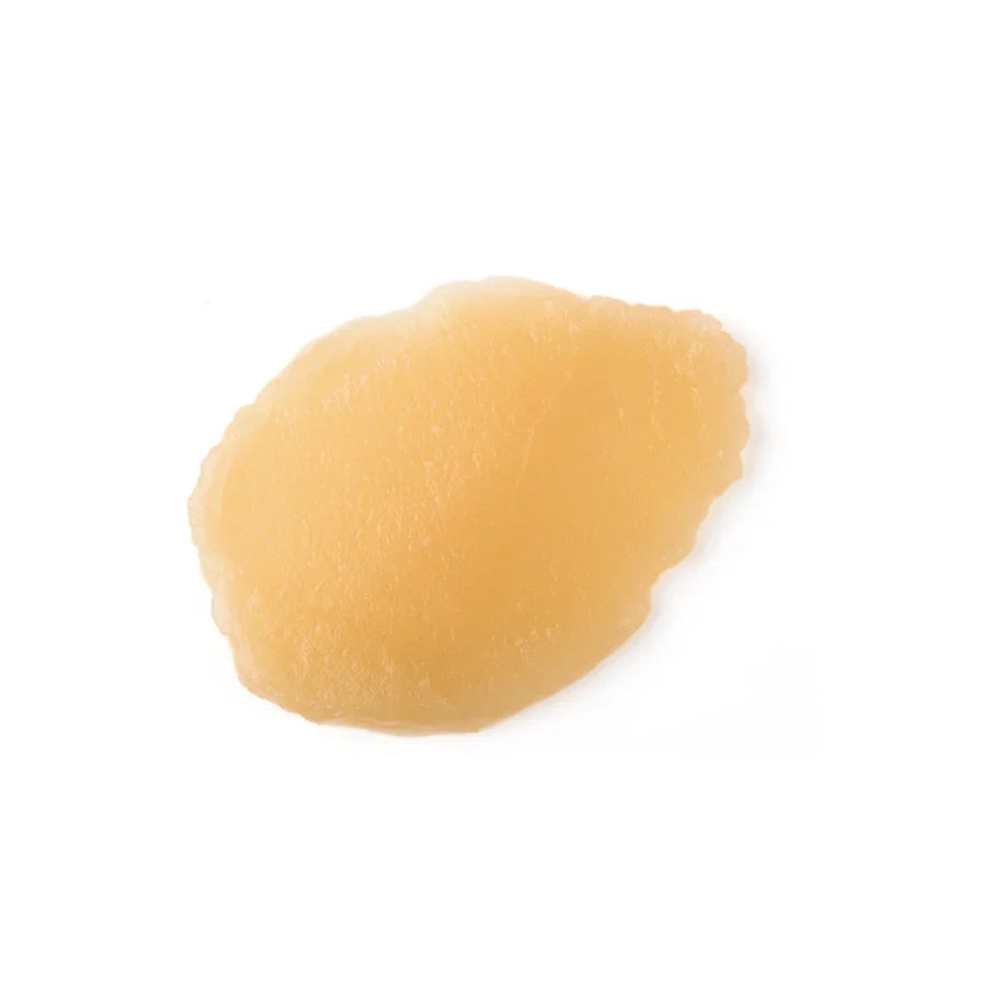 Gelidium Cartilagineum Extract (Agar Agar Gel)