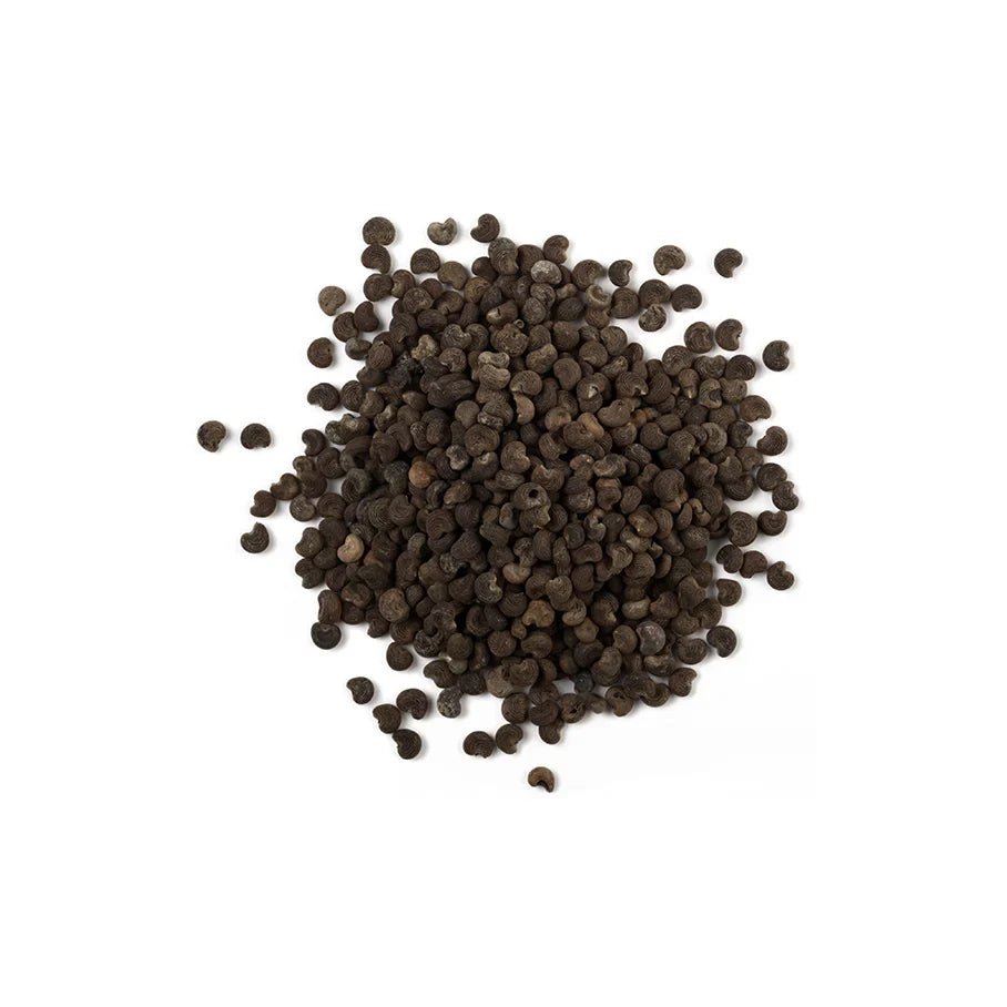 Ambrette Seed Oil