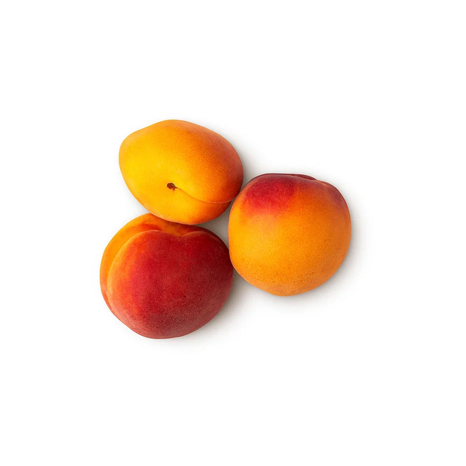 Prunus Armeniaca Kernel Oil (Apricot Kernel Oil)