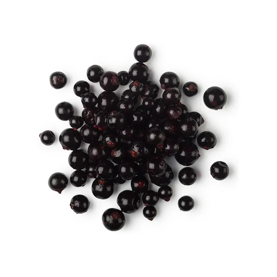 Ribes Nigrum Fruit Extract (Blackcurrant Extract)