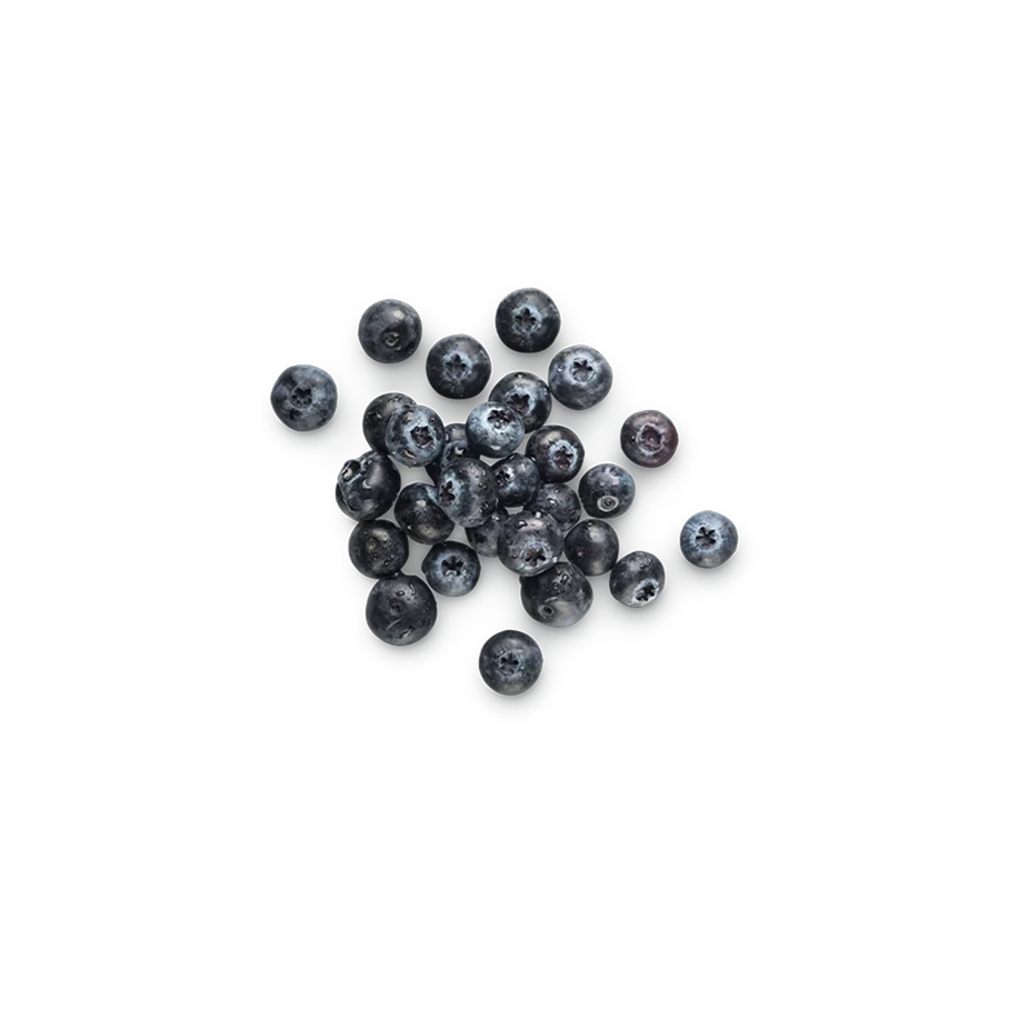 Blueberry Powder