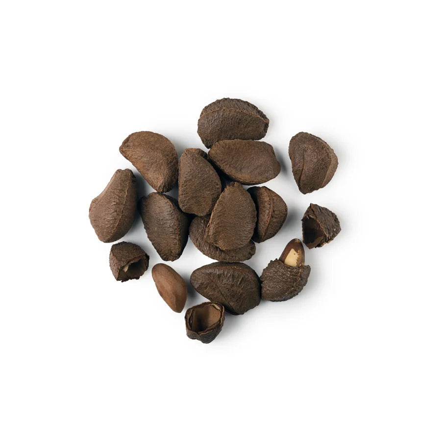 Bertholletia Excelsa Seed Oil (Brazil Nut Oil)