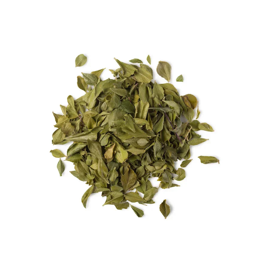 Barosma Betulina Leaf Oil (Buchu Oil)