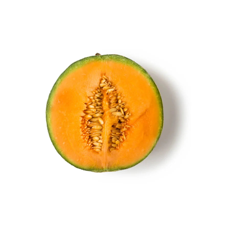 Fresh Cantaloupe Melon