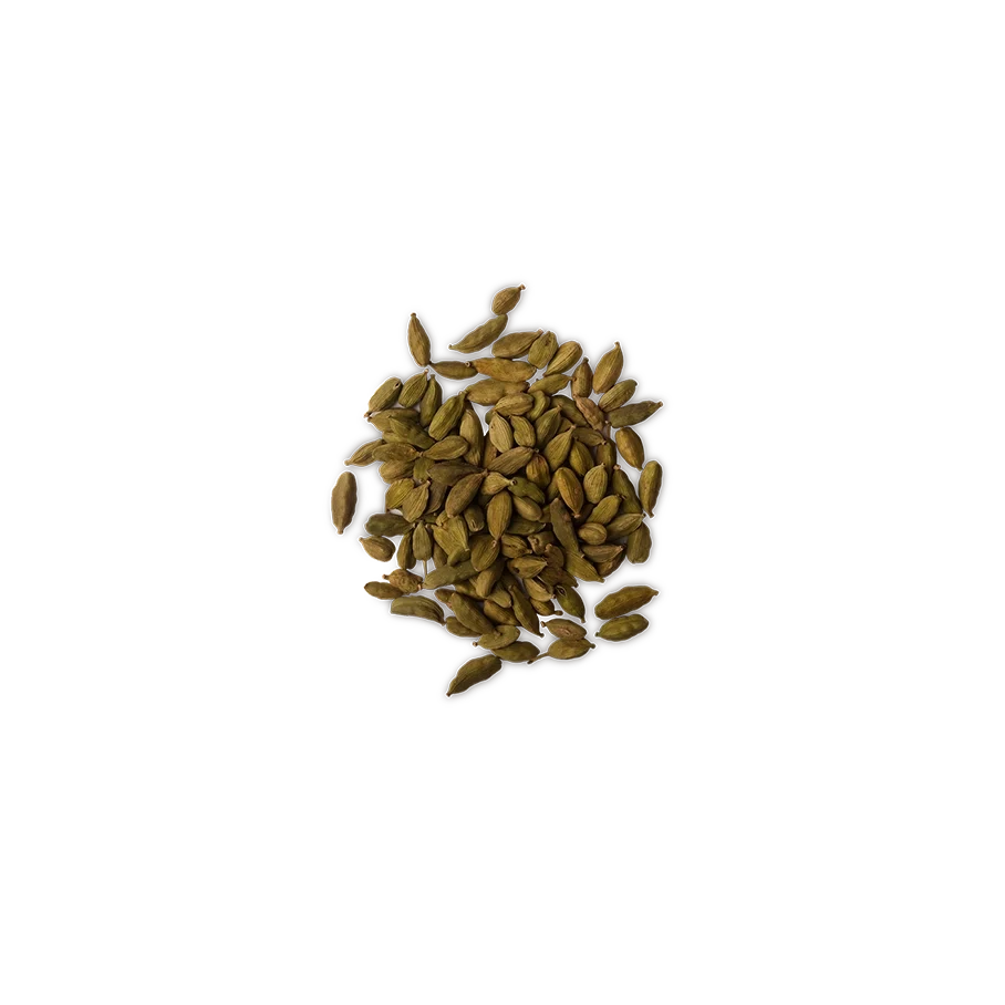 Cardamom Absolute