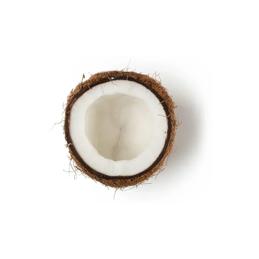Coconut