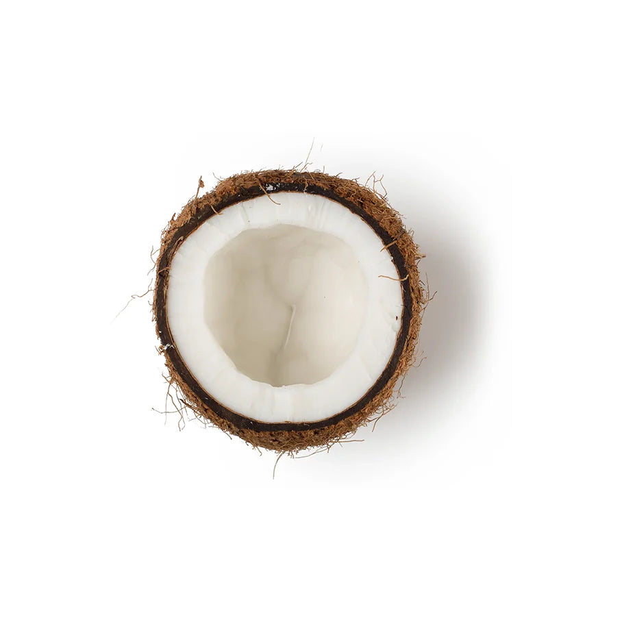 Coconut Vinegar