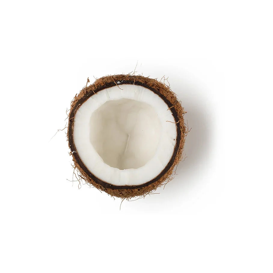 Cocos Nucifera Pulp Extract (Coconut Cream)