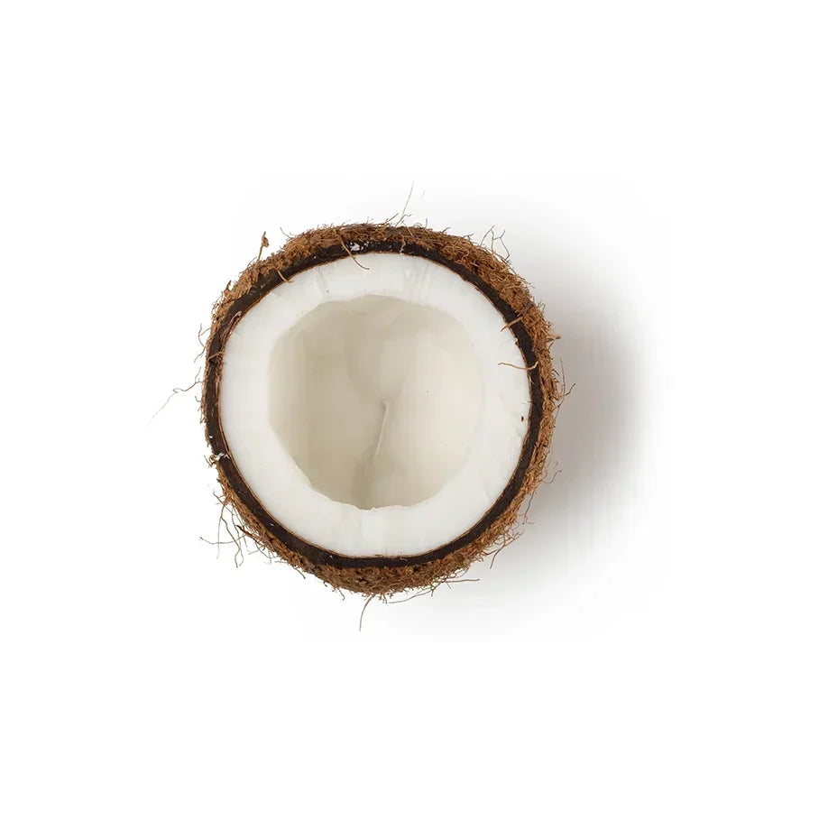 Cocos Nucifera Oil (Coconut Oil)