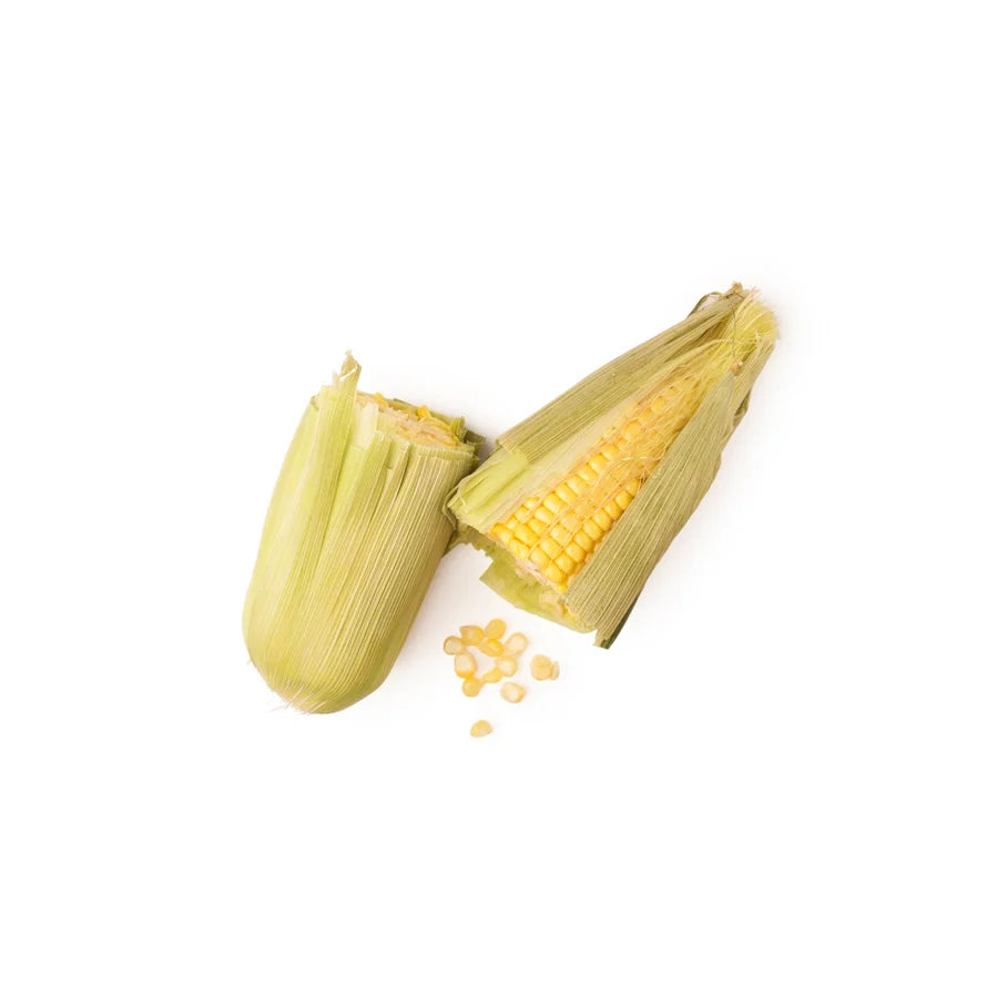 Corn Oil