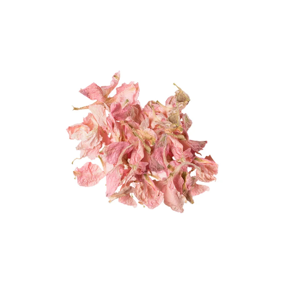 Dried Pink Delphinium Petals