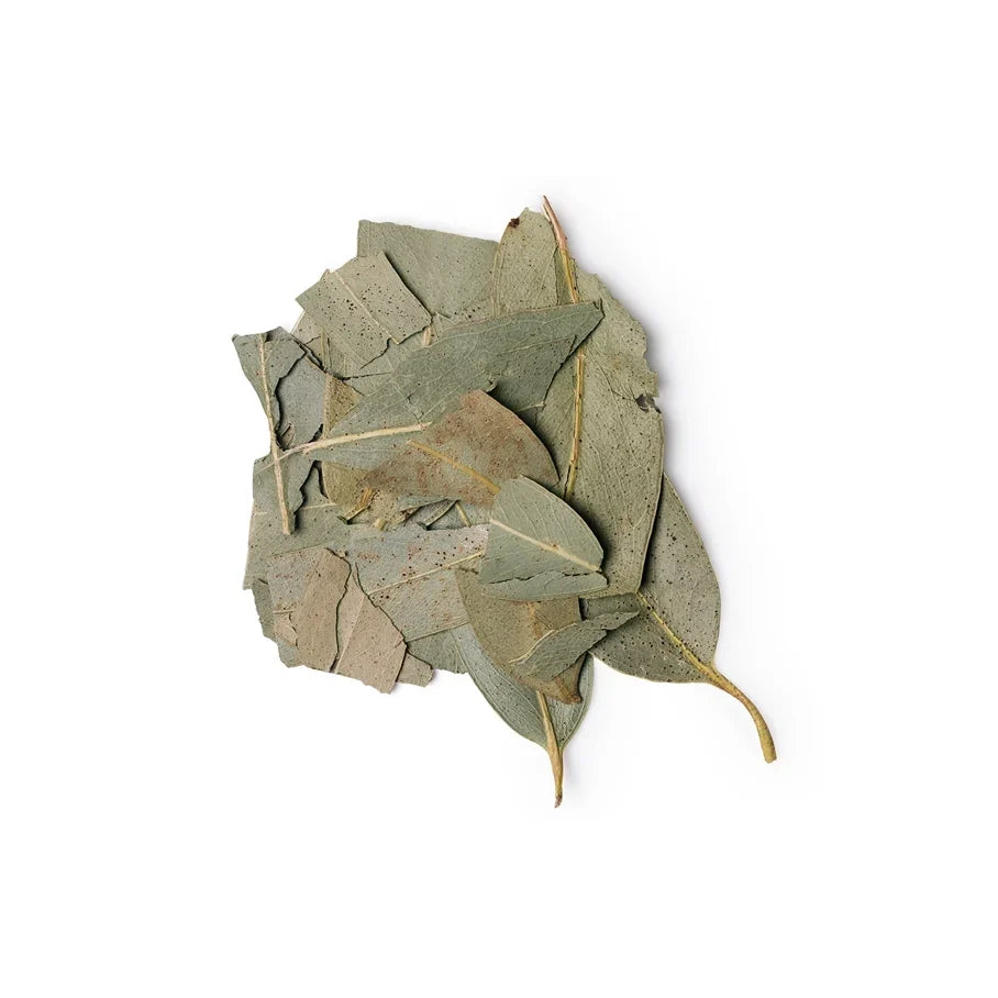 Eucalyptus Globulus Leaf Extract (Eucalyptus Extract)