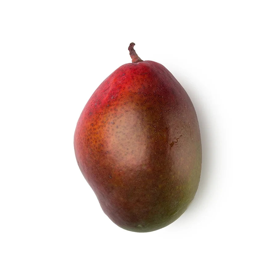 Mangifera Indica Seed Butter (Mango Butter)