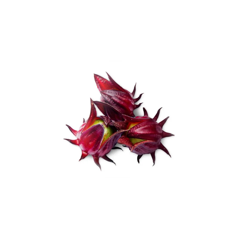 Hibiscus Flower Extract