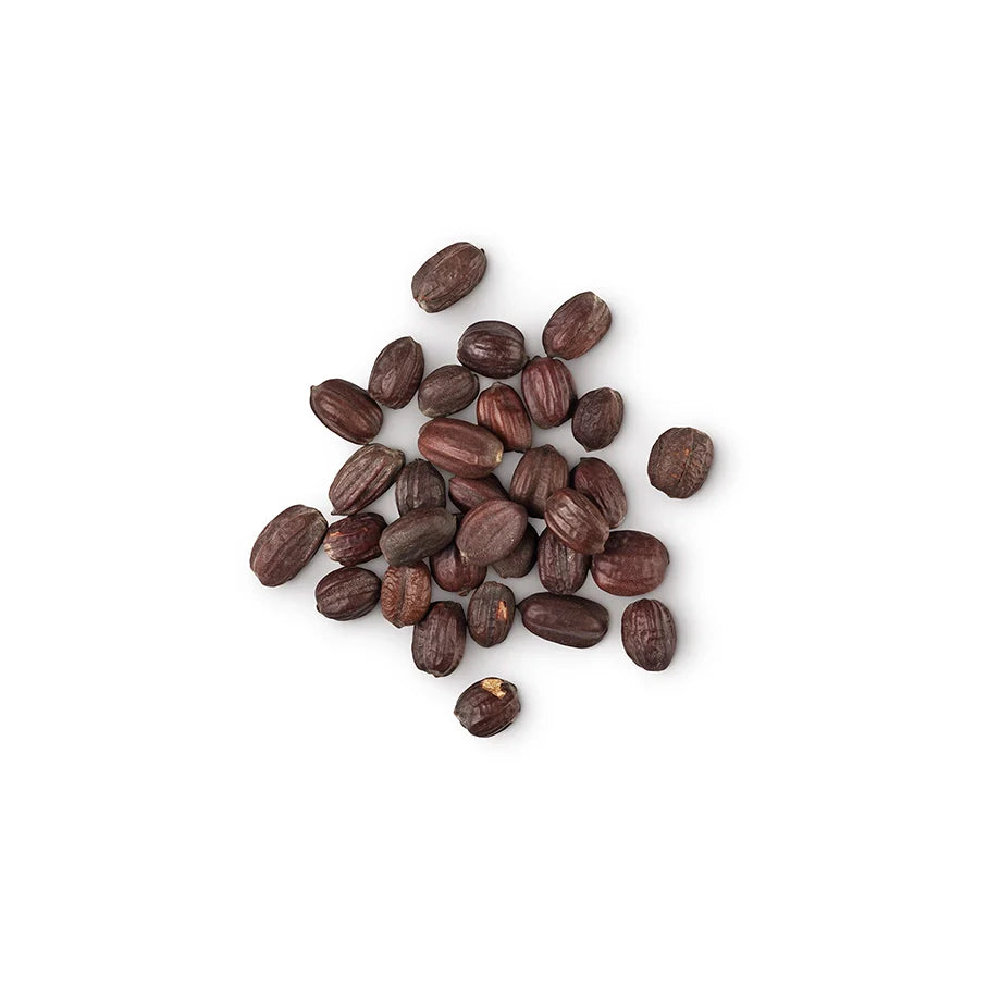 Jojoba