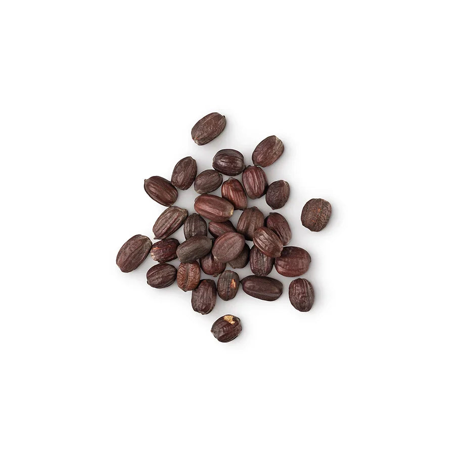 Fair Trade Organic Jojoba Oil