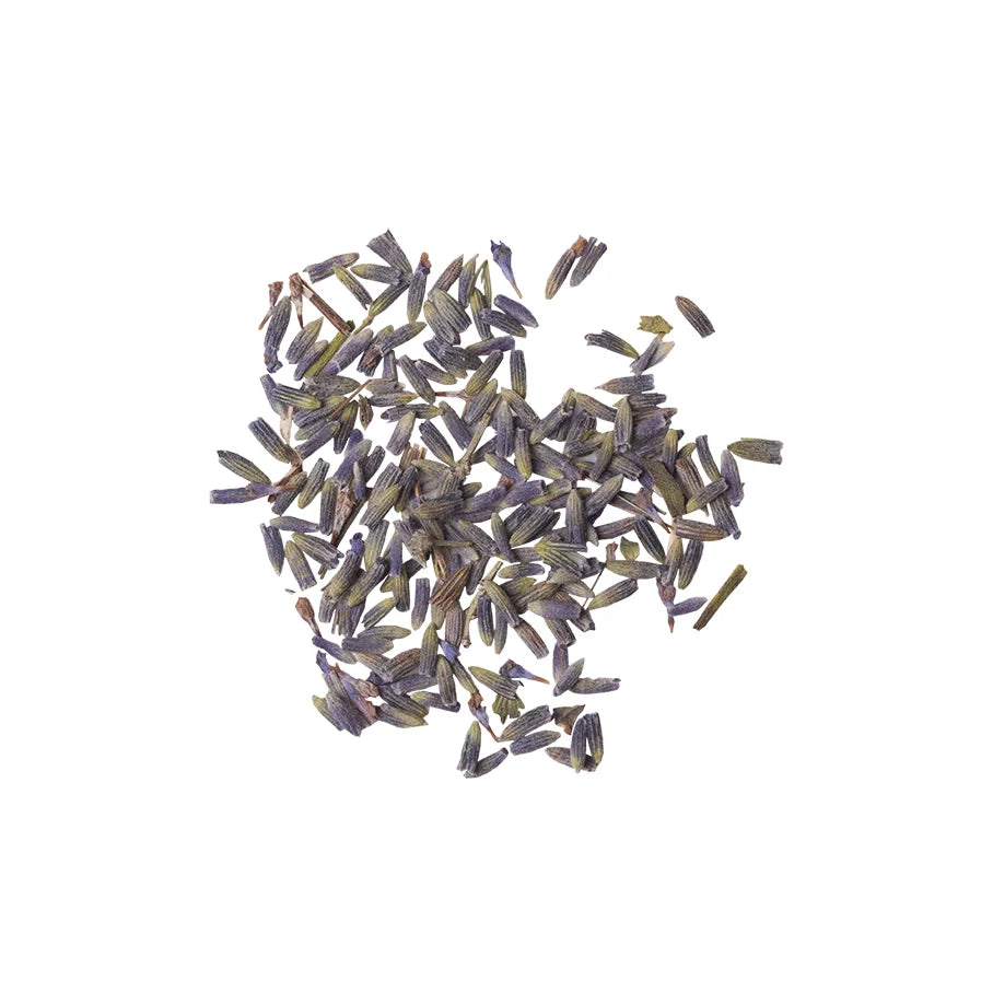 Lavender Flower Infusion