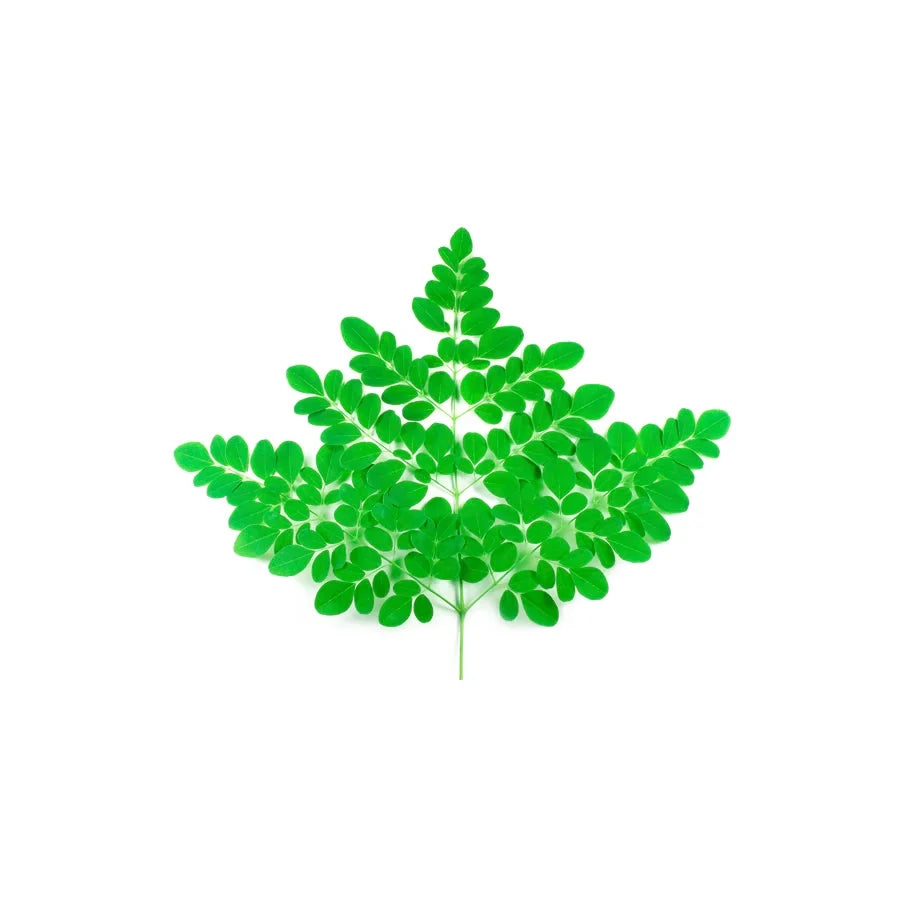 Moringa Oil