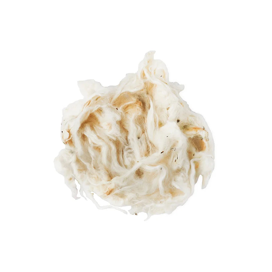 Organic Cotton