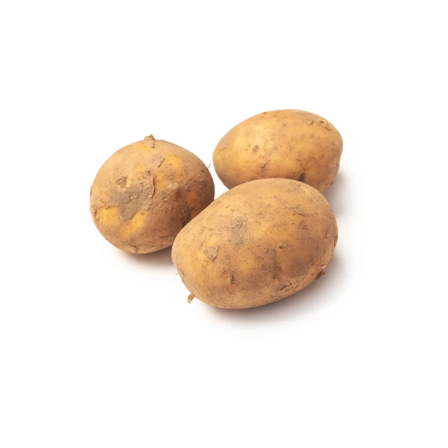 Solanum Tuberosum Starch (Potato Starch)