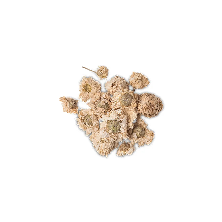 Roman Chamomile Oil