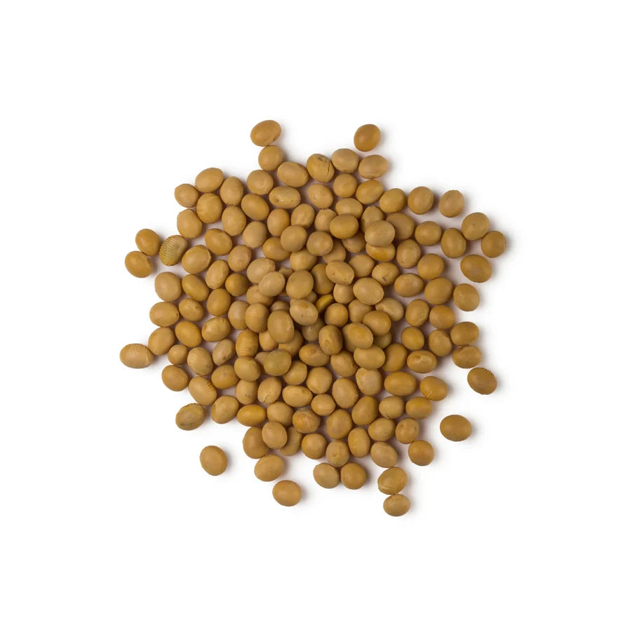 Soya