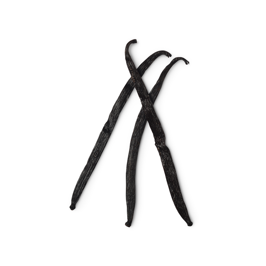 Vanilla Planifolia Fruit Extract (Vanilla Extract)