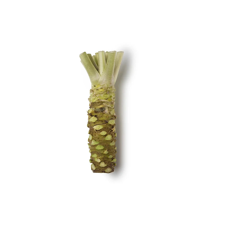 Wasabi and Horseradish Puree