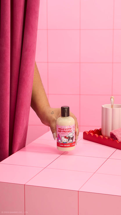 Hello Kitty And Friends