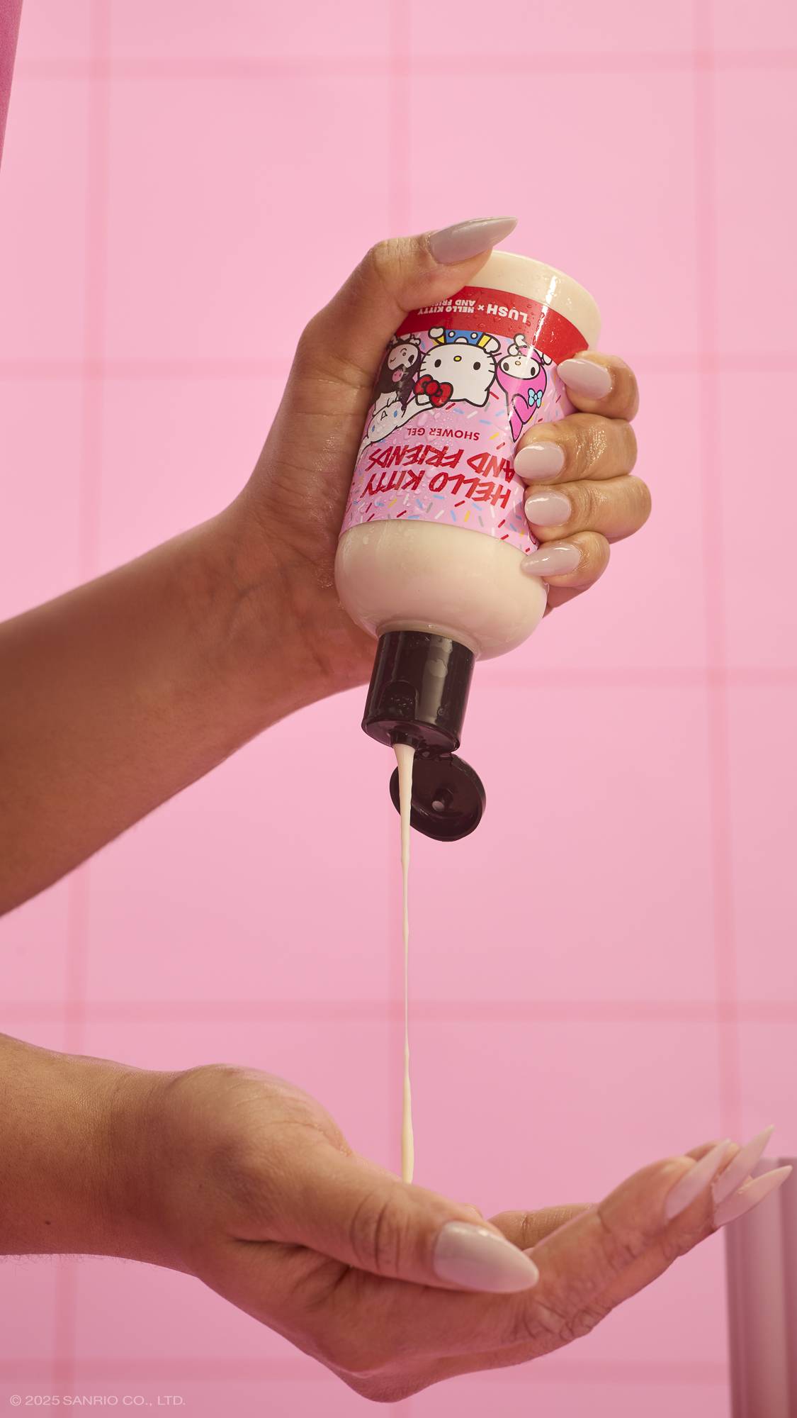 Hello Kitty And Friends