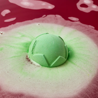 Lord Of Misrule
