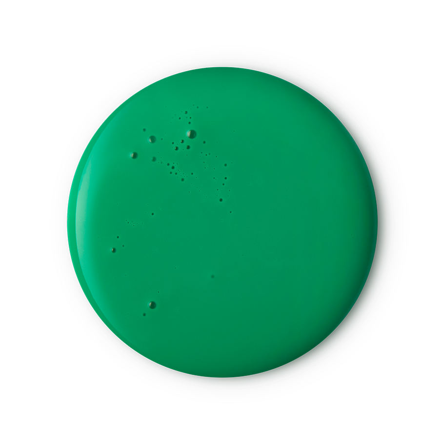 Lord Of Misrule
