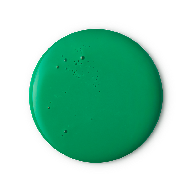 Lord Of Misrule