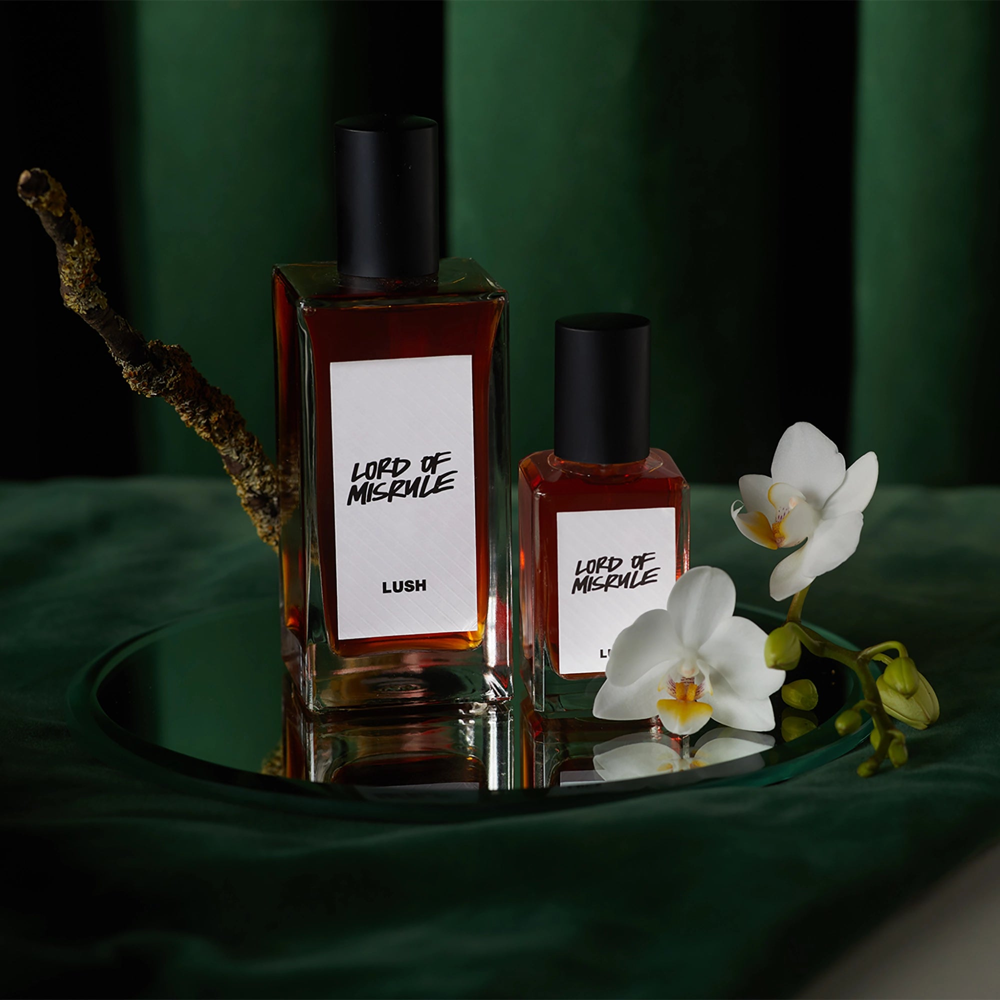 Lord Of Misrule